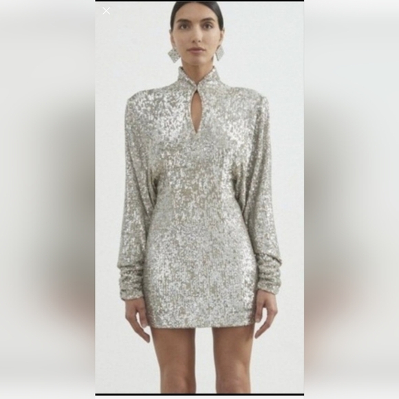 Ronny Kobo Large Silver Mini Dress - Picture 4 of 8